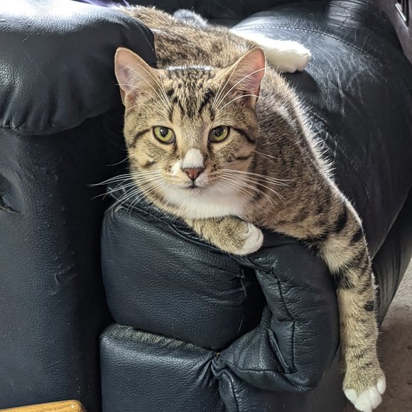 Meet your Posher, Mary - Picture 8 of 11